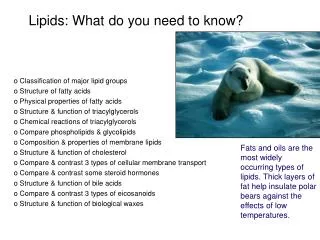 Lipids : What do you need to know?