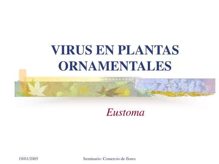 virus en plantas ornamentales