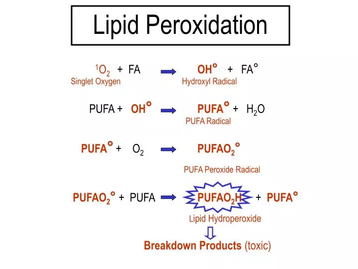 lipid peroxidation