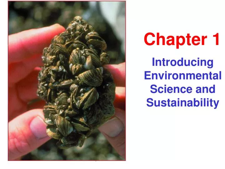 introducing environmental science and sustainability