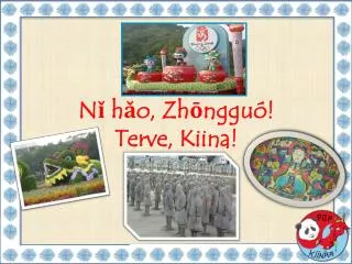 n h o zh nggu terve kiina