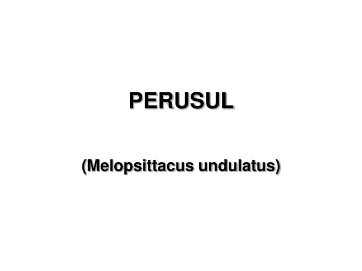 perusul