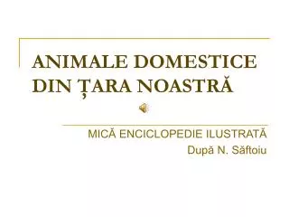 animale domestice din ara noastr