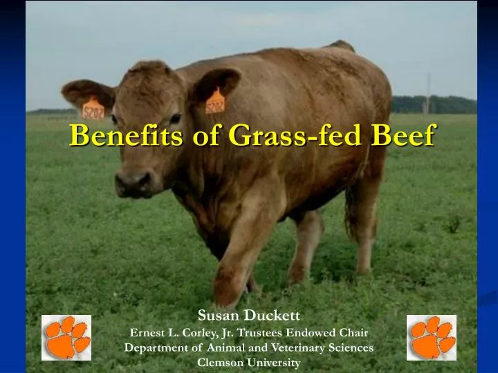 benefits of grass fed beef