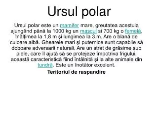 ursul polar