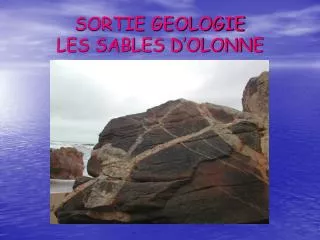 SORTIE GEOLOGIE LES SABLES D’OLONNE