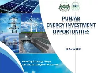 PUNJAB ENERGY INVESTMENT OPPORTUNITIES