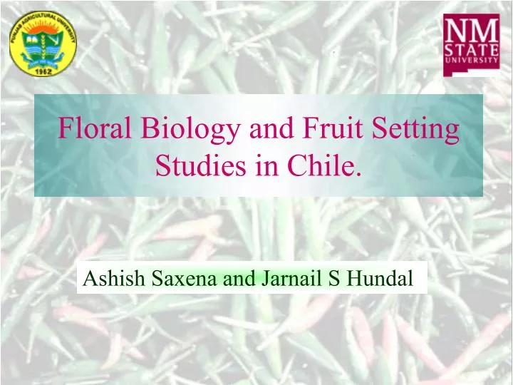 floral biology and fruit setting studies in chile