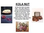 KOLA NUT - slide 1