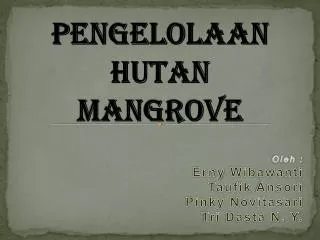 pengelolaan hutan mangrove