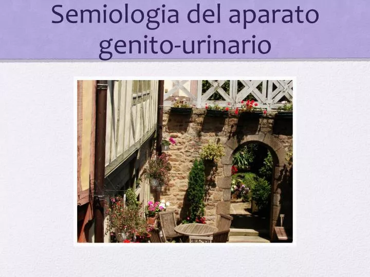 semiologia del aparato genito urinario