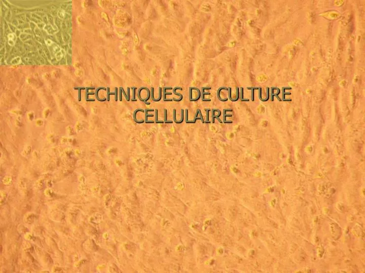 techniques de culture cellulaire