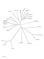 Comprehensive Overview of Genetic Elements and Pathways in Model Organisms - slide 1