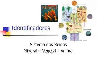 identificadores