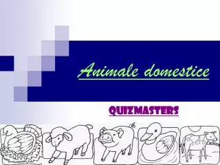 animale domestice