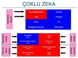 oklu zeka