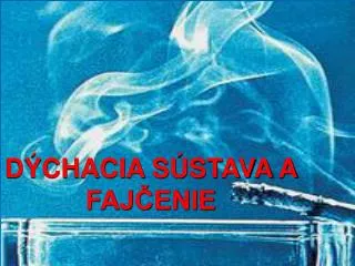 d chacia s stava a faj enie