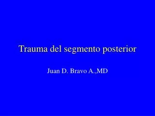 trauma del segmento posterior
