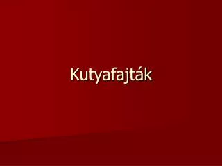 kutyafajt k