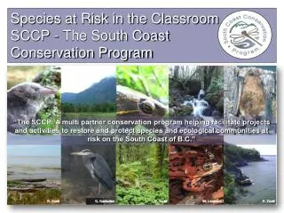Species at Risk in the Classroom SCCP - The South Coast Conservation Program