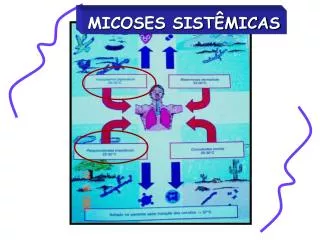 micoses sist micas
