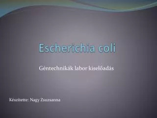 escherichia coli