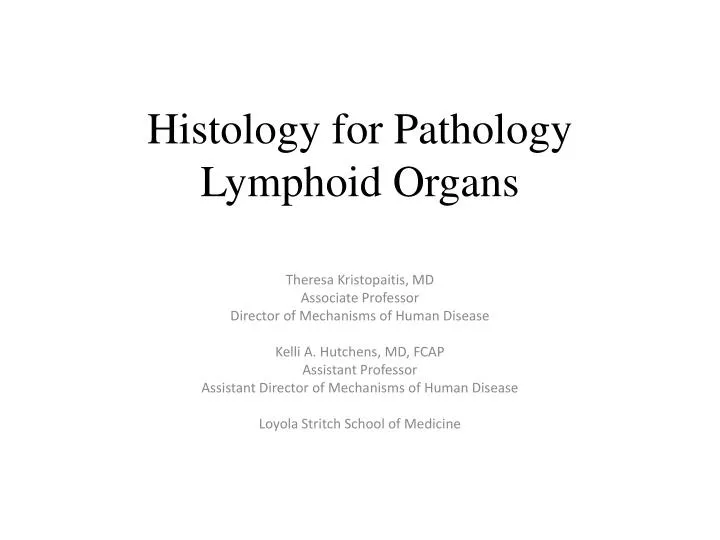 histology for pathology lymphoid organs