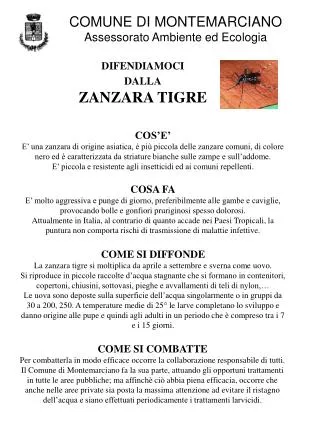 difendiamoci dalla zanzara tigre
