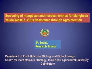 Department of Plant Molecular Biology and Biotechnology,