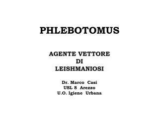 phlebotomus