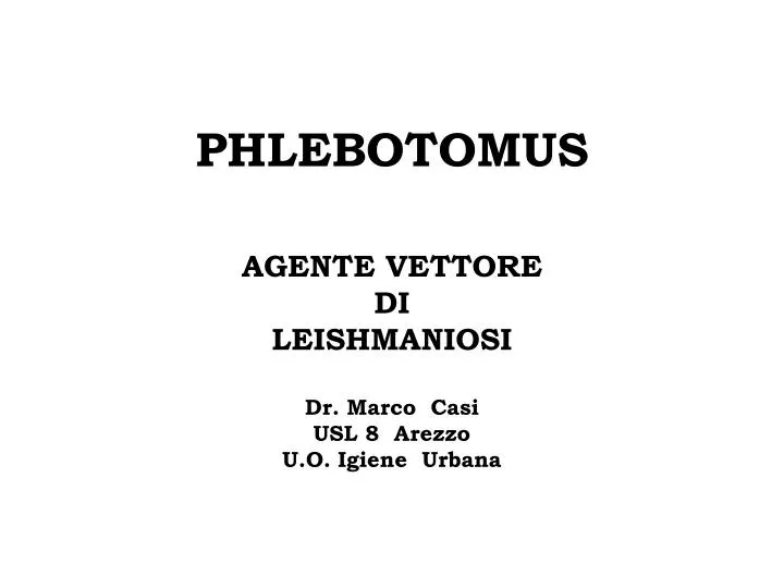 phlebotomus