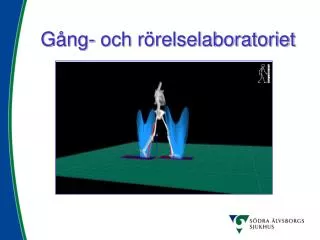 g ng och r relselaboratoriet