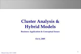 Cluster Analysis &amp; Hybrid Models Business Application &amp; Conceptual Issues Oct 4, 2005