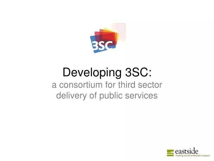 developing 3sc a consortium for third sector delivery of public services