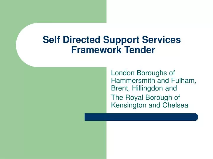 self directed support services framework tender
