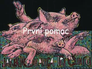 prvn pomoc