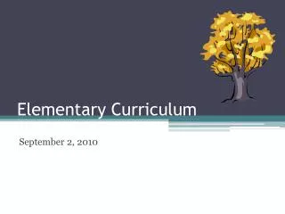 Elementary Curriculum