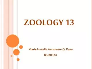 ZOOLOGY 13
