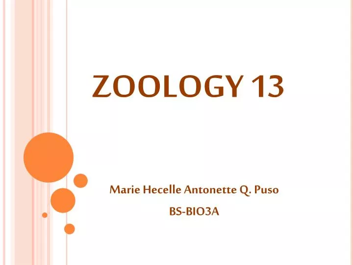zoology 13