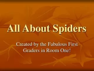 All About Spiders