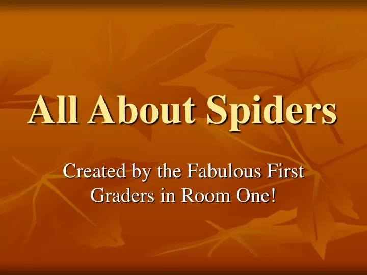 all about spiders