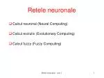 Retele neuronale - slide 1