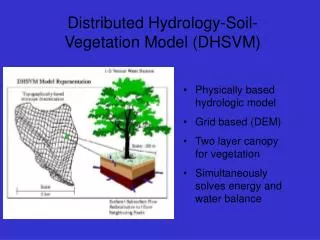 Distributed Hydrology-Soil-Vegetation Model (DHSVM)