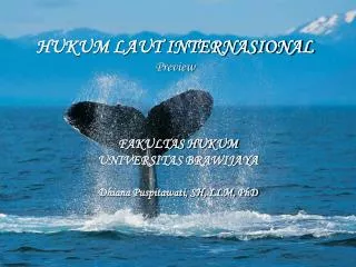 hukum laut internasional preview