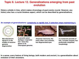 Topic 8. Lecture 12. Generalizations emerging from past evolution