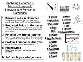 Analyzing Genomes &amp; Transcriptomes with Structural and Functional Categories