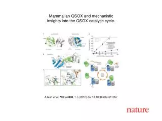 A Alon et al. Nature 000 , 1-5 (2012) doi:10.1038/nature11267