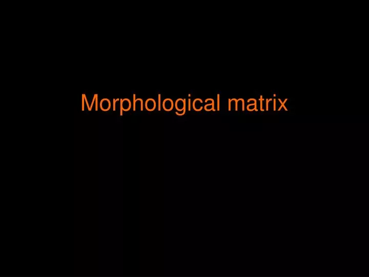 morphological matrix