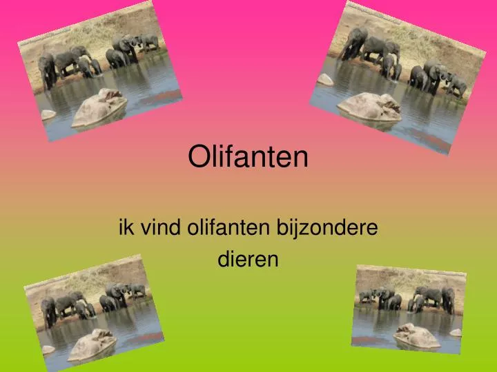 olifanten