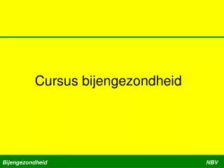 cursus bijengezondheid
